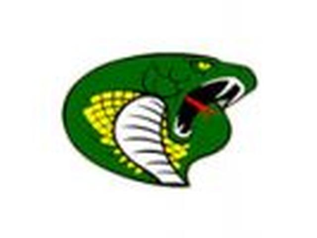 Jackson Heights Cobras Boys Basketball Team