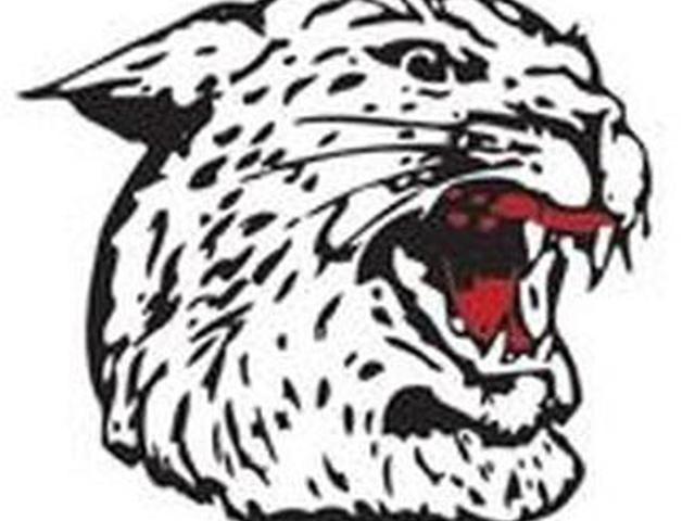Hanover Wildcat Football Team