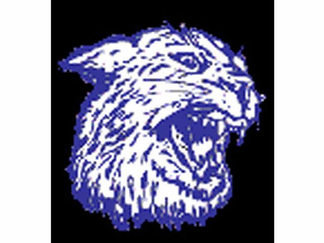 Holton Wildcat Rushing Attack