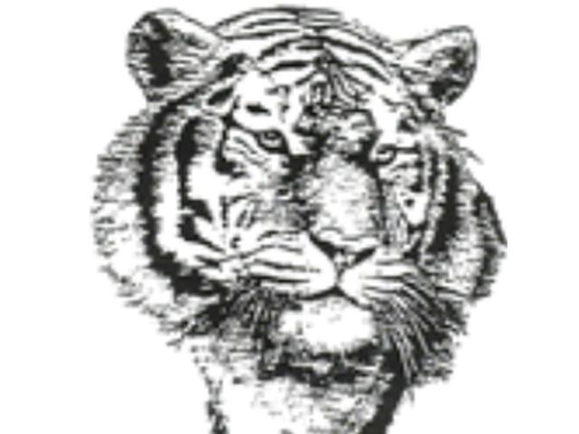 Jeff West Tigers Softball Team