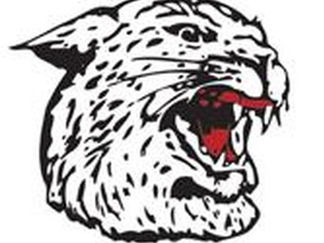 Hanover Wildcats Girls Basketball Team