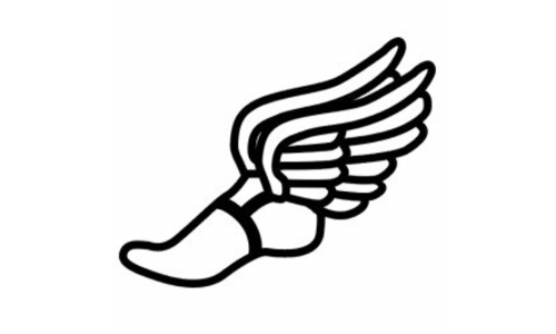 Six Area Cross Country Teams Ranked in Latest State Cross Country Rankings