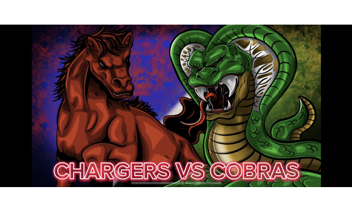 Jackson Heights Lady Cobras Wrap-up Their Season in Heartbreaking Fashion to the Wabaunsee Chargers