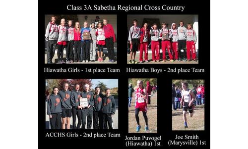Hiawatha Girls 1st, Boys 2nd at Cross Country Regionals; ACCHS and Pleasant Ridge Girls Qualify for State