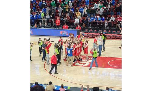 Johnson-Brock boys win D1 State Title