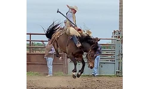 Former Jackson Heights Cobra Cable Wareham Captures National High School Rodeo Championship