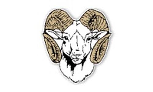 Blue Valley-Randolph Volleyball Takes Wakefield Invite Title