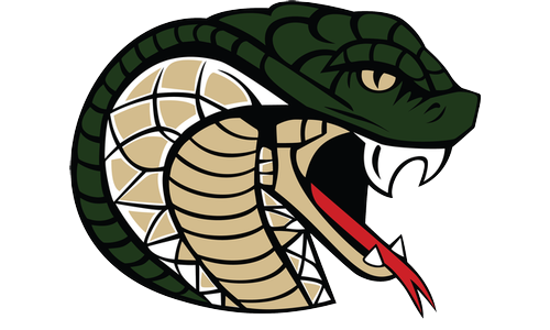 Jackson Heights Spring Sports Preview