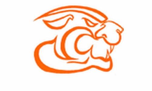 Panther Girls to Play for Third, Fall to Little River in State Semi's