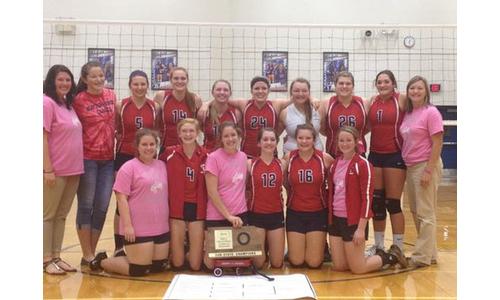 Clifton-Clyde Eagles Volleyball Wins Sub-State to Return to 1A-DI State Tourney