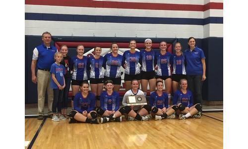 Hanover Wildcats Volleyball Team Wins Sub-State