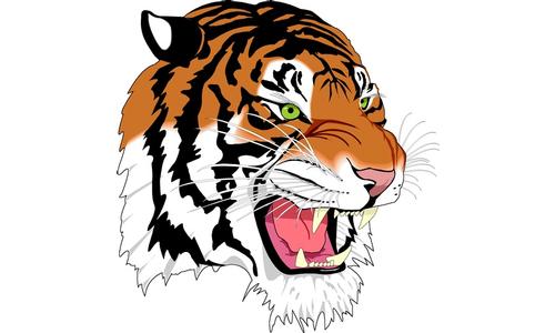 Falls City Tiger Baseball Begins Friday Afternoon