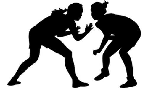 12 Area Girls Qualify for Sub-State Wrestling