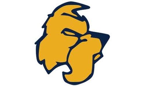 Bingesser Named New Volleyball Coach at Highland