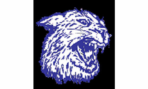 Holton Girls Golf Chipped Their way to First Place in Santa Fe Trail Invite