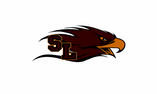 Silver Lake Outright Secures the Big East Volleyball Title at Perry Triangular