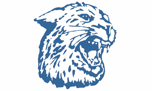 Hanover Girls Hold On After Near Comeback Against Axtell in Sub-State Championship