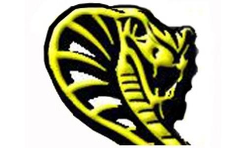 D West Girls and Jackson Heights Boys Keep Winning