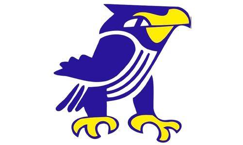 Senior Night Spark Carries Perry-Lecompton Boys Past Valley Falls