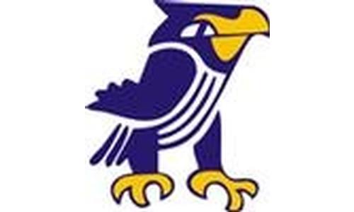 Perry & Holton Take Two, Winner to 3A State Football Title Game