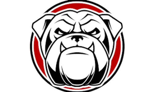 Rossville Mounts An Improbable Comeback to Stun Jackson Heights