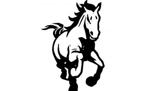 Rock Creek Track Sweeps Falcon Relays at Riley County