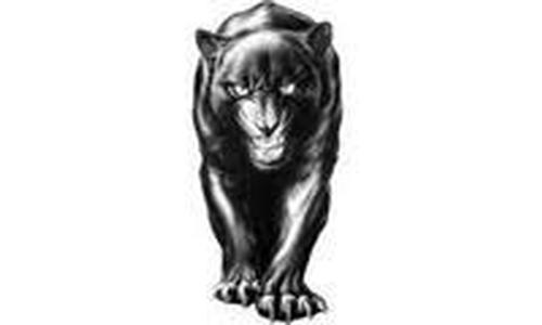 Panther Hoops Sweep Hiawatha
