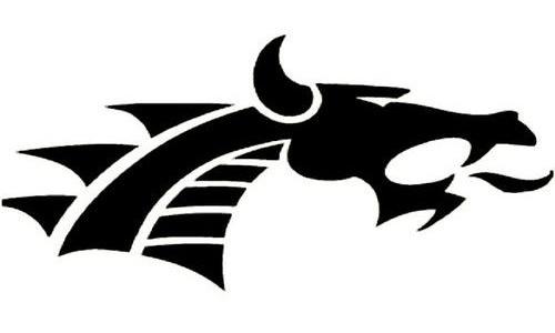 Boys NEKL Champions: Dragons Take the Title