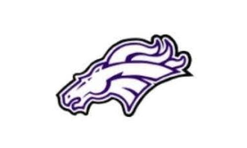 DeWalt from Valley Heights wins TVL Title