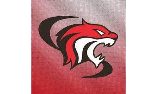 Washington County Boys Golf Win Twin Valley League Tournament