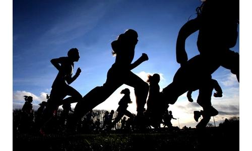 Regional cross country assignments
