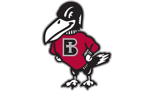 Benedictine Falls in NAIA FCS Quarterfinals
