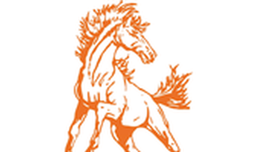 Doniphan West Girls Bring Out Incredible Second Half Performance to Defeat Valley Heights in the TVL Third Place Girls Match