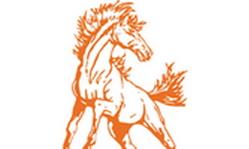 Doniphan West Boys Finish 3rd at TVL Tournament with Narrow Win Over Clifton Clyde