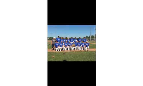 Troy Baseball Claims 3rd Place State Trophy