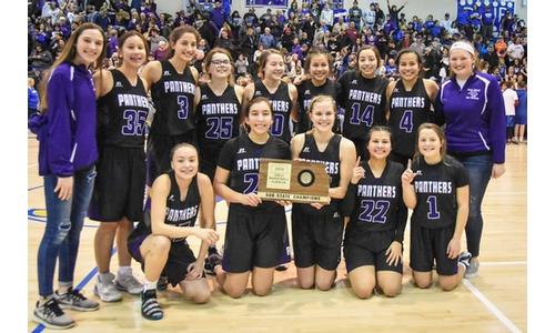 Panthers Tame Tigers For Second Time, Punch Second Straight State Birth