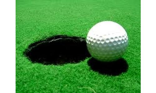 Holton Golfer Has Best Area Showing in 4A State Tourney, While Atchison and Perry Lecompton Golfer Compete