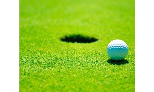 Jeff West Girls Golf 2nd at Silver Lake; Holton's Katina Bartel Ties for 3rd