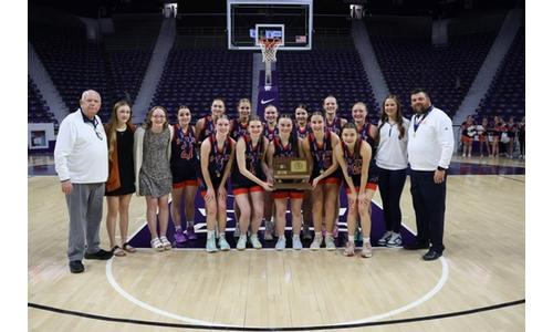 D West Girls Fall to Moundridge Finish 2nd at 2A State