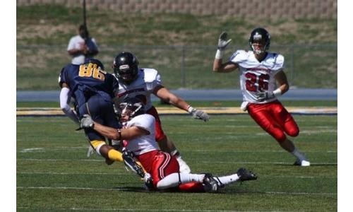 Ravens Win on Stars and Stripes Weekend