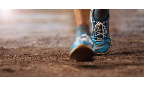 Kansas Cross Country Coaches Polls Released