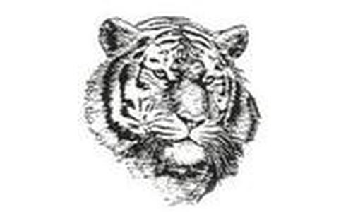 Jeff West Tiger Girls Calm Storm From Bishop Ward Take Aim At Sub State Title