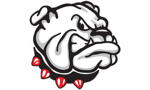Rossville Softball Qualifies for State Tournament