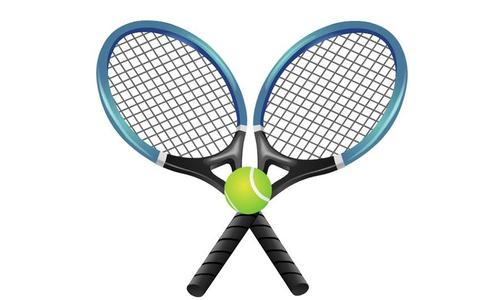 Marysville & Immaculata Singles Competitors Have Best Performances at 3-2-1A State Tennis for Area Competitors