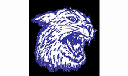 Holton Places Third At State, Falls To Silver Lake In Semifinal