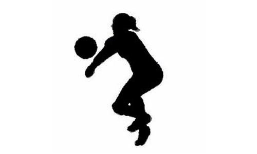 All Delaware Valley League Volleyball Teams Announced