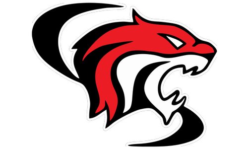 Washington County Comes back in Overtime and Outpaces Frankfort Boy in Opening TVL Tournament Play